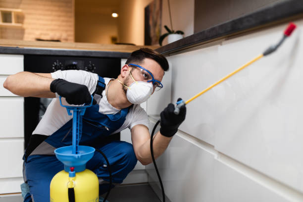 Best Local Pest Control Services  in Westminster, CO