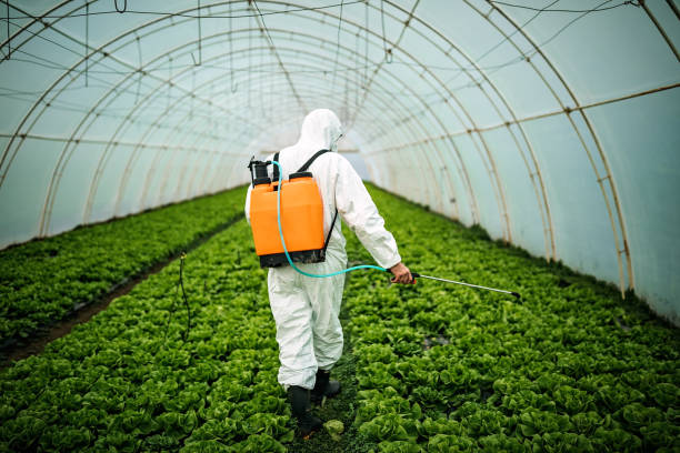 Best Best Pest Control Companies  in Westminster, CO