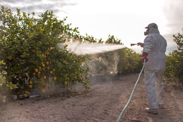 Reliable Westminster, CO Pest Control Solutions
