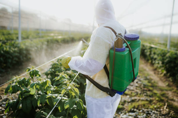 Best Exterminator Services  in Westminster, CO
